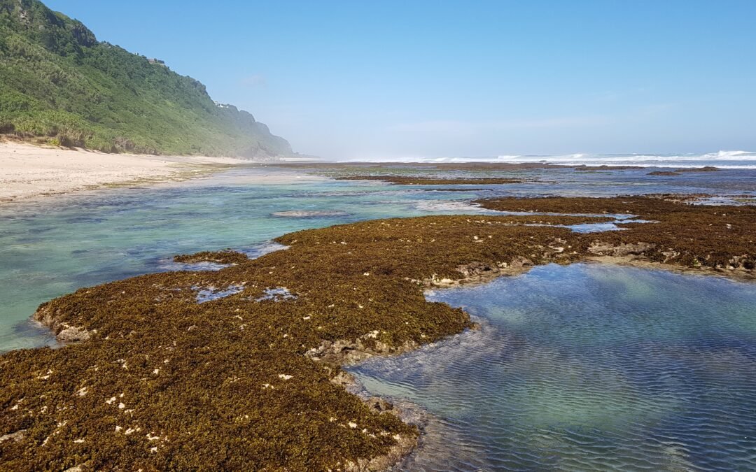 NyangNyang-Beach-Uluwatu